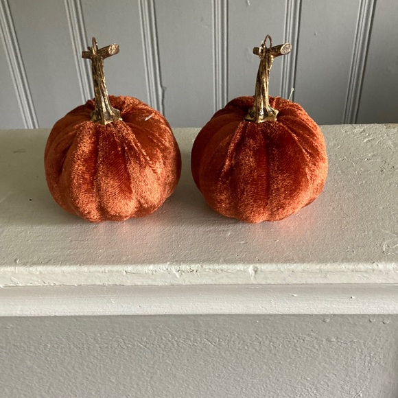 Set of 2- Beautiful Orange Velvet Pumpkins- Fall Holiday Decorations - Picture 3 of 17